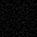 Blossoms in Color - Black | Riley Blake Designs | Designer: Christopher Thompson
