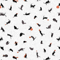 Pumpkin & Catnip | Katarina Roccella | Art Gallery Fabrics