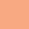 Apricot Crepe PE 426 | Pure Solids