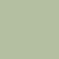 Pistachio PES 914 | Signature Pure Solids