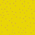 Starry New Golden Hour | Ruby Star Society | Designer: Alexia Abegg