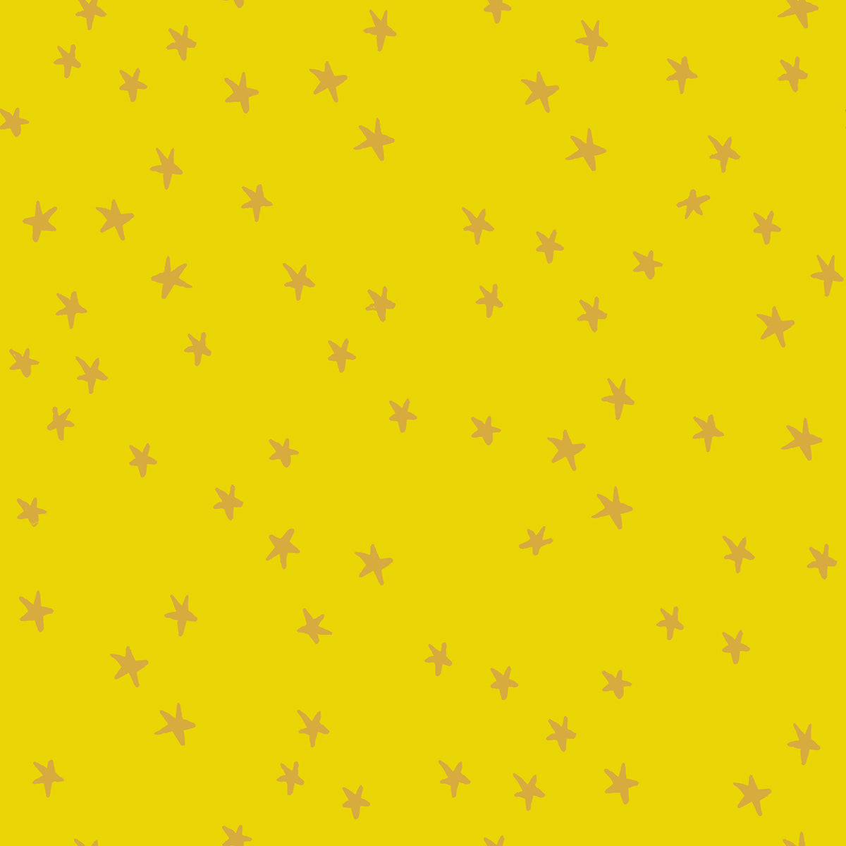 Starry New Golden Hour | Ruby Star Society | Designer: Alexia Abegg
